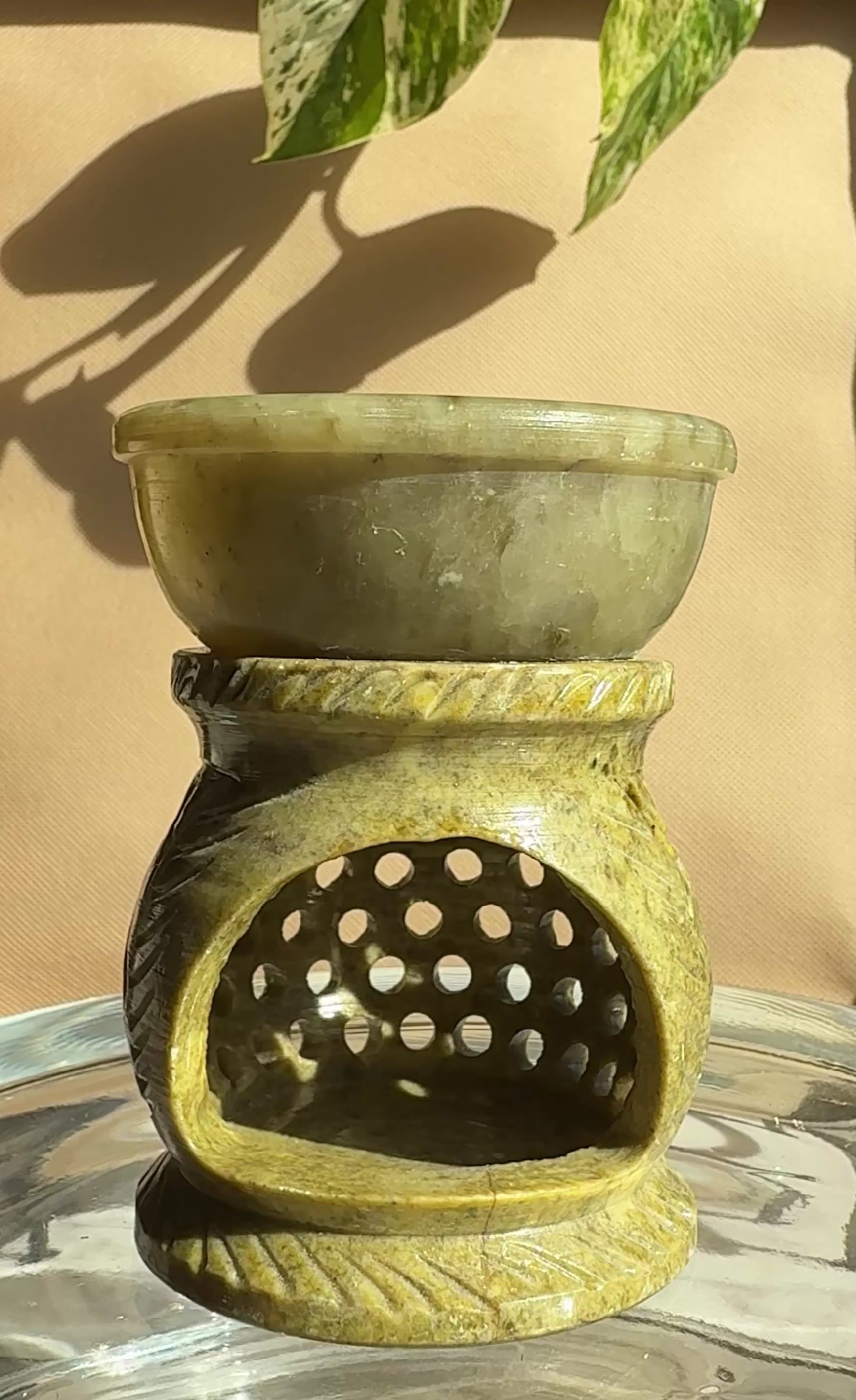 Willow Goldstone | D1-T9